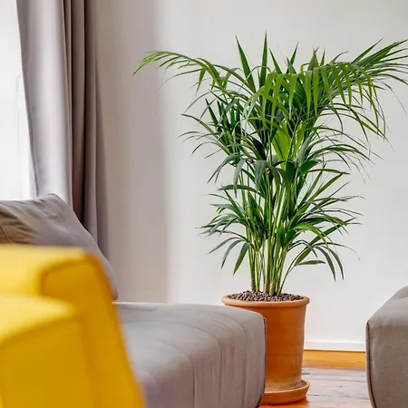 Kois Loft Appartement