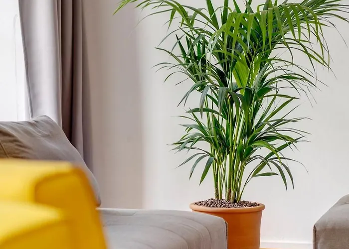 Kois Loft Appartement