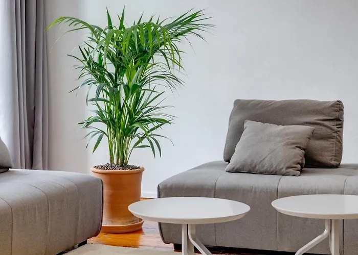 Appartement Kois Loft