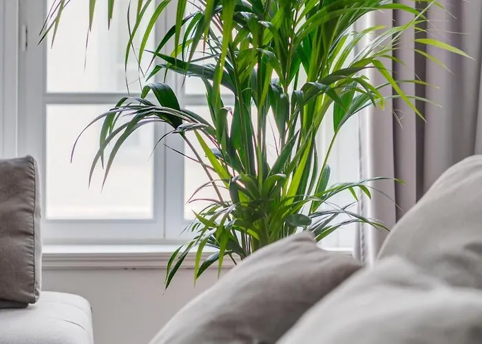 아파트 Kois Loft 에르무폴리